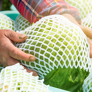 生鮮冷鏈物流，溫濕度監(jiān)控可不能忽視！