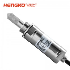 HG602-D壓縮空氣露點變送器高精度露點儀